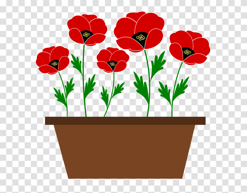 Poppy Clipart Free Vector, Plant, Flower, Blossom, Geranium Transparent Png