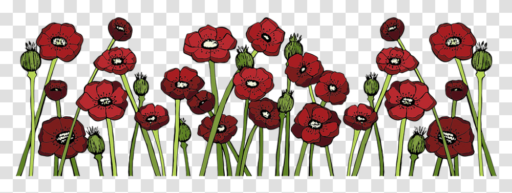 Poppy Fields Flower Red Free Vector Graphic On Pixabay Poppy, Plant, Anther, Blossom, Geranium Transparent Png