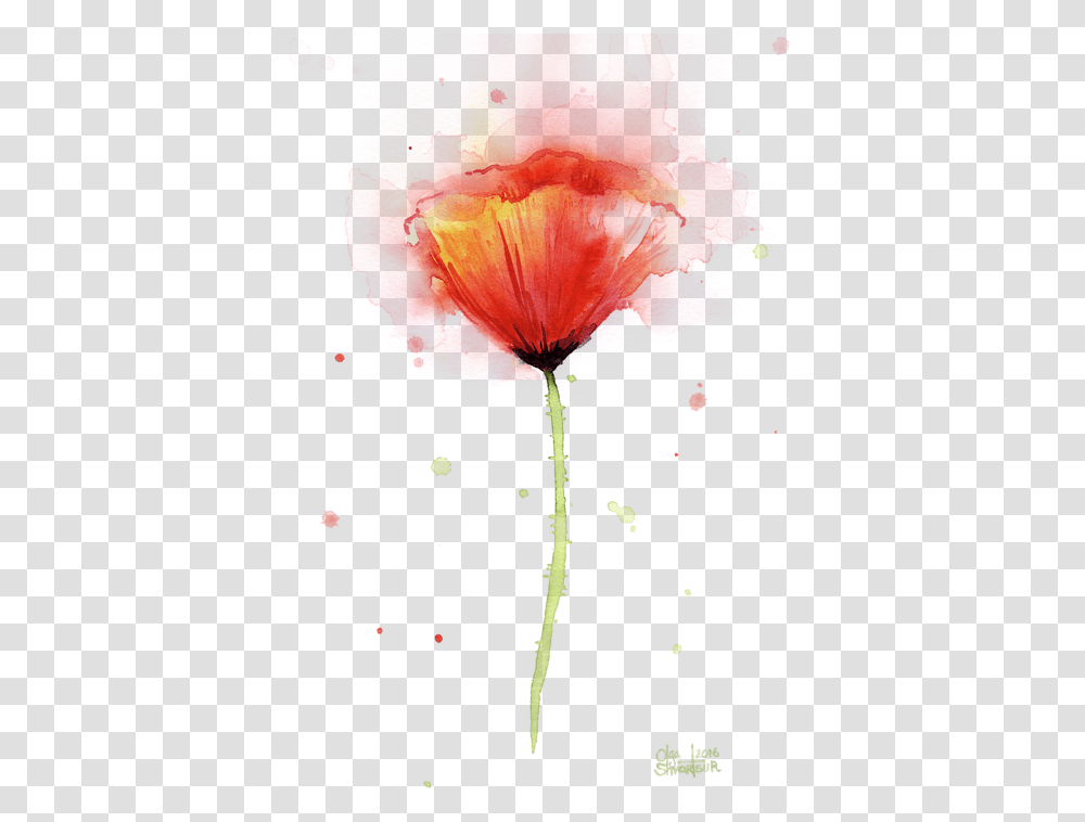 Poppy Flower Abstract Flowers Water Painting, Plant, Petal, Blossom, Geranium Transparent Png