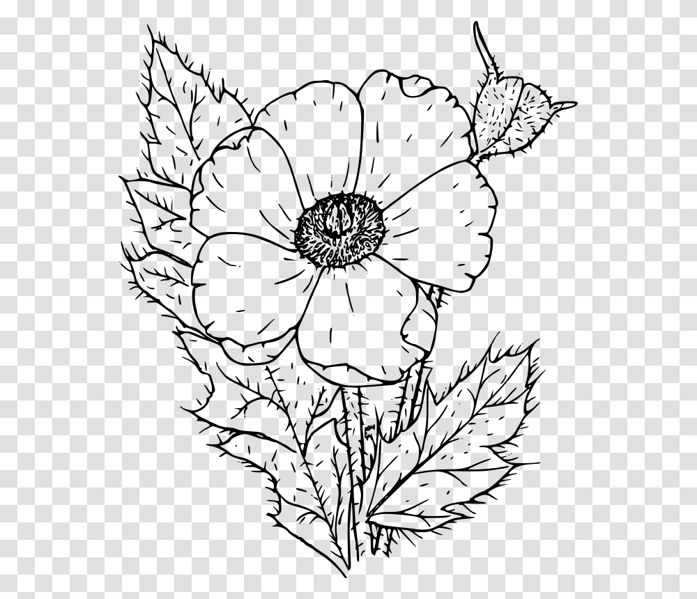 Poppy Flower Clipart Black And White Poppy Flower Black And White, Gray, World Of Warcraft Transparent Png