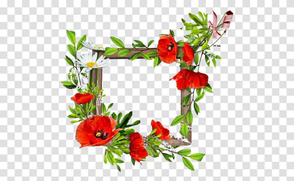 Poppy Flower Frame Clipart, Plant, Blossom, Flower Arrangement, Geranium Transparent Png