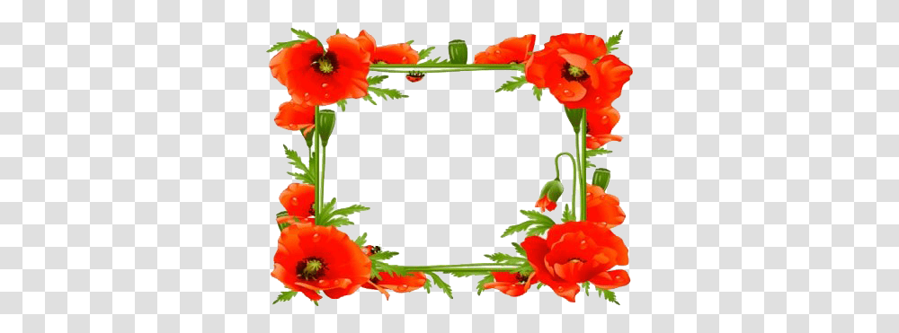 Poppy Flower Frame Poppy Frames For Facebook Profile, Plant, Blossom, Floral Design, Pattern Transparent Png
