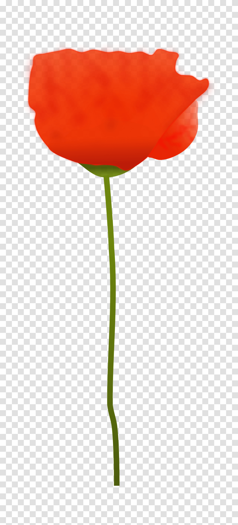 Poppy Flower Icons, Plant, Blossom, Lamp, Tulip Transparent Png