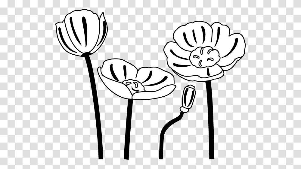 Poppy Flower Pictures Clip Art, Plant, Blossom, Petal, Tulip Transparent Png