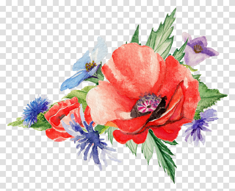 Poppy Flower Watercolor Transparent Png