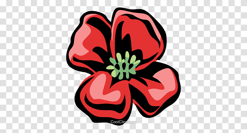 Poppy Royalty Free Vector Clip Art Illustration, Hibiscus, Flower, Plant, Blossom Transparent Png