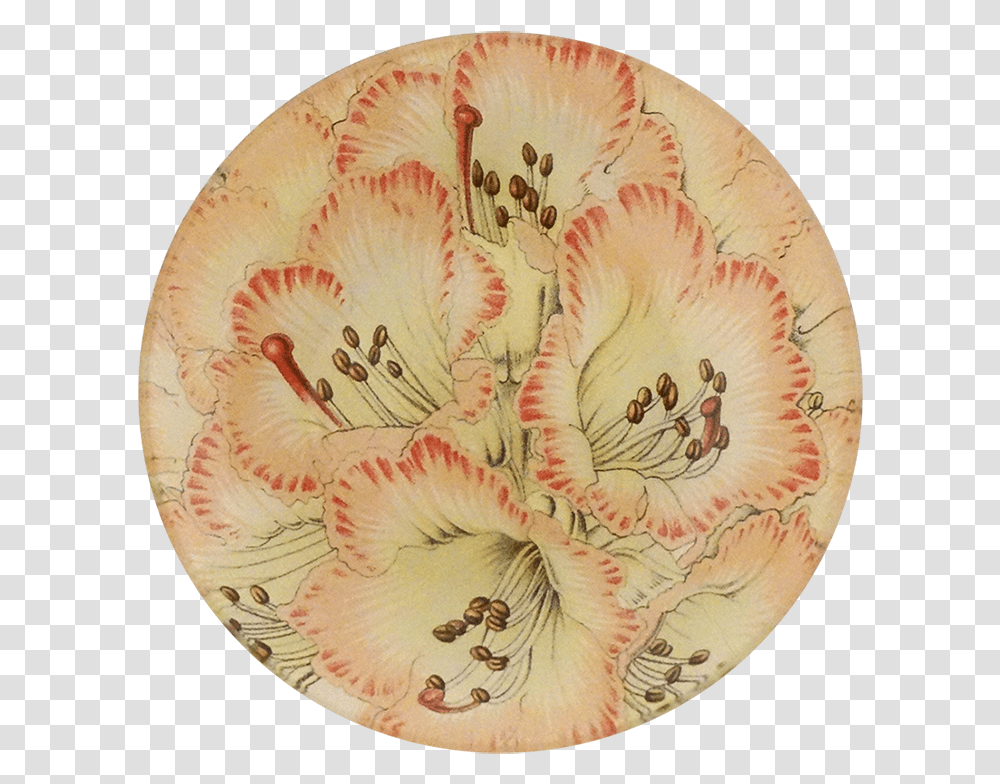 Poppy, Tabletop, Furniture, Dish, Meal Transparent Png