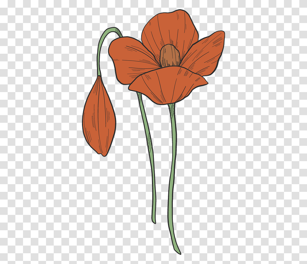 Poppy Troll, Plant, Flower, Blossom, Petal Transparent Png