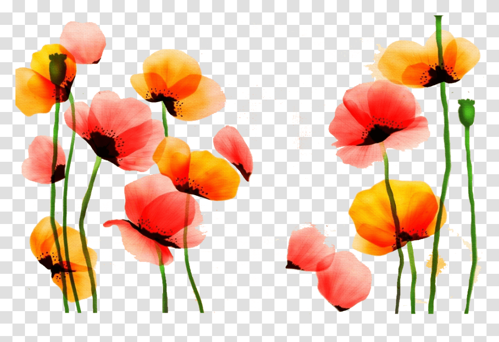 Poppy Watercolor Painting Flower Red Yellow Pintado Flores Yellow And Red Flowers Water Color, Plant, Blossom, Petal, Geranium Transparent Png