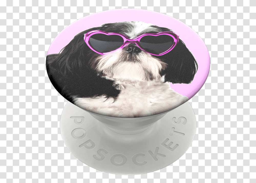 Popsockets Sassy Shih Tzu Popgrip Popsocket Hund, Glasses, Accessories, Accessory, Sunglasses Transparent Png