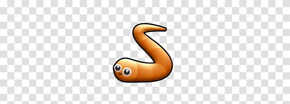 Popular And Current Apps, Animal, Worm, Invertebrate, Photography Transparent Png
