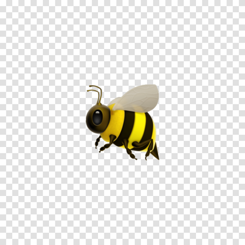 Popular And Trending Bee Stickers, Honey Bee, Insect, Invertebrate, Animal Transparent Png