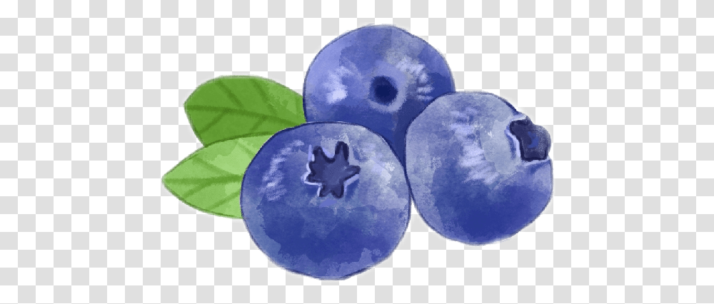 Popular And Trending Blueberry Stickers Bilberry, Plant, Fruit, Food, Moon Transparent Png