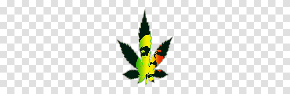 Popular And Trending Bobmarley Stickers, Leaf, Plant, Aloe, Weed Transparent Png