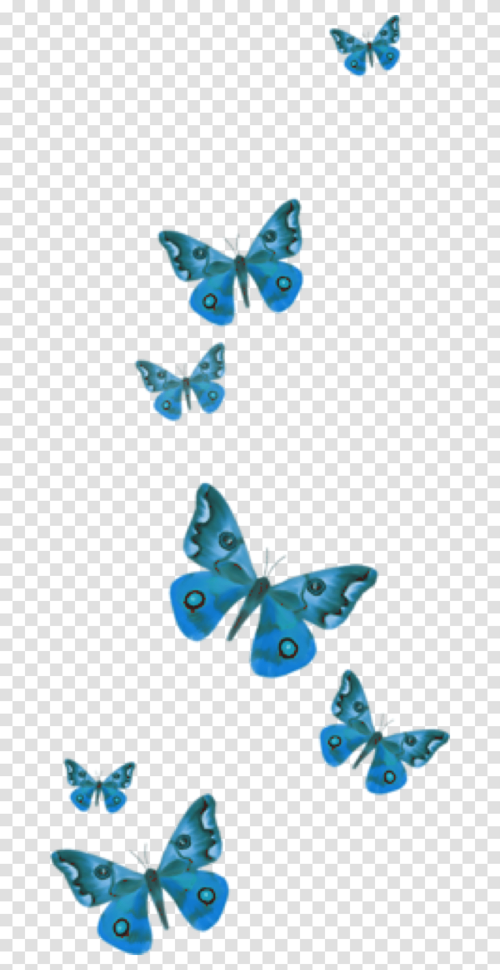 Popular And Trending Butterfly Stickers On Picsart Picsart Butterfly Stickers, Animal, Insect, Invertebrate Transparent Png