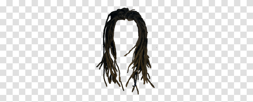 Popular And Trending Dreadlocks Stickers, Root, Plant, Hair Transparent Png