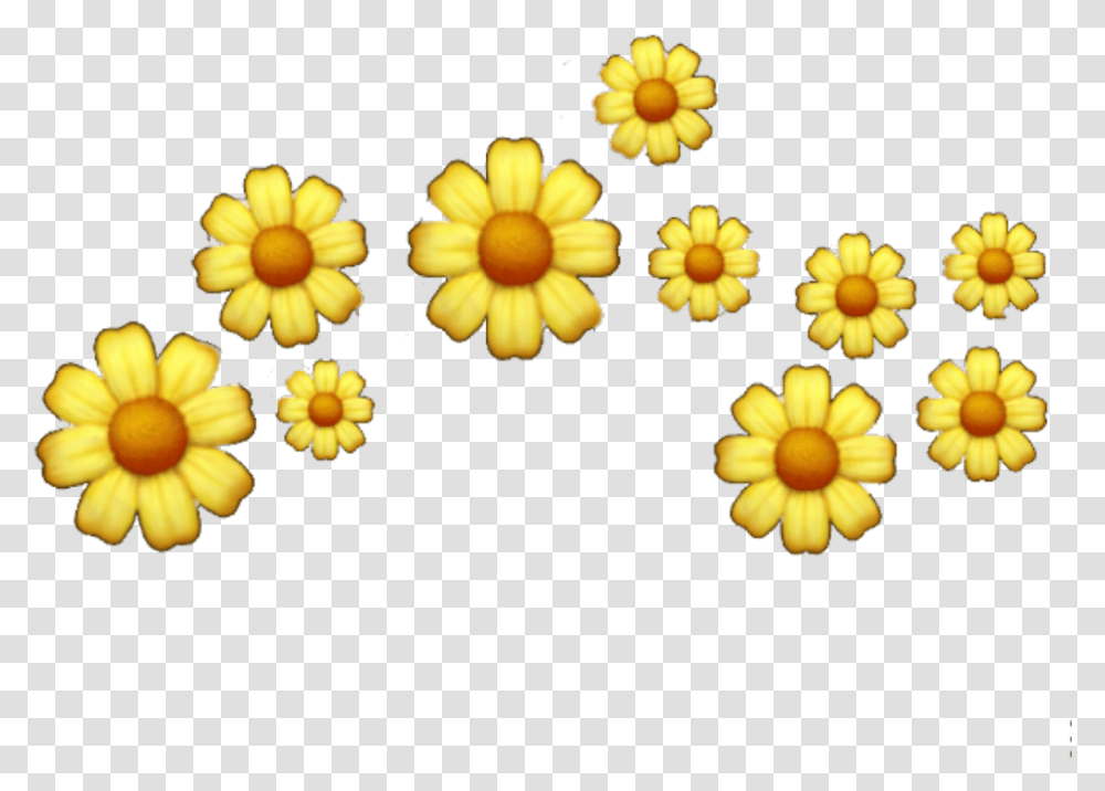 Popular And Trending Flowers Background Tumblr Stickers Yellow Aesthetic Tumblr, Plant, Daisy, Daisies, Blossom Transparent Png