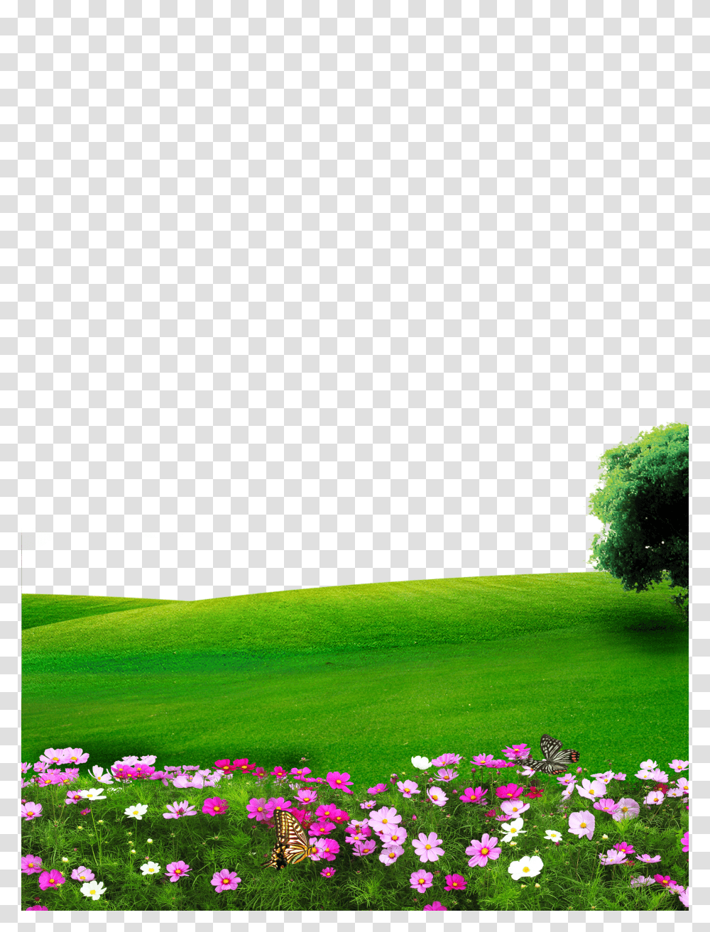 Popular And Trending Grass Field Stickers, Plant, Lawn, Flower, Blossom Transparent Png