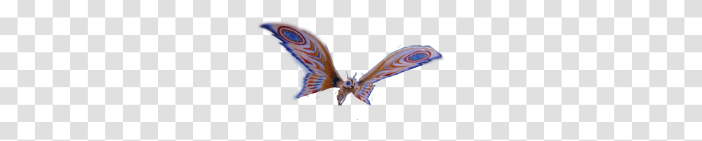 Popular And Trending Mothra Stickers, Animal, Flying, Bird, Insect Transparent Png
