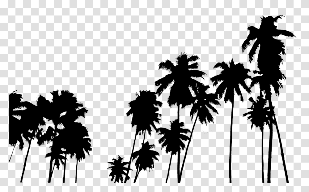 Popular And Trending Palmeras Stickers, Silhouette, Stencil, Plant, Tree Transparent Png