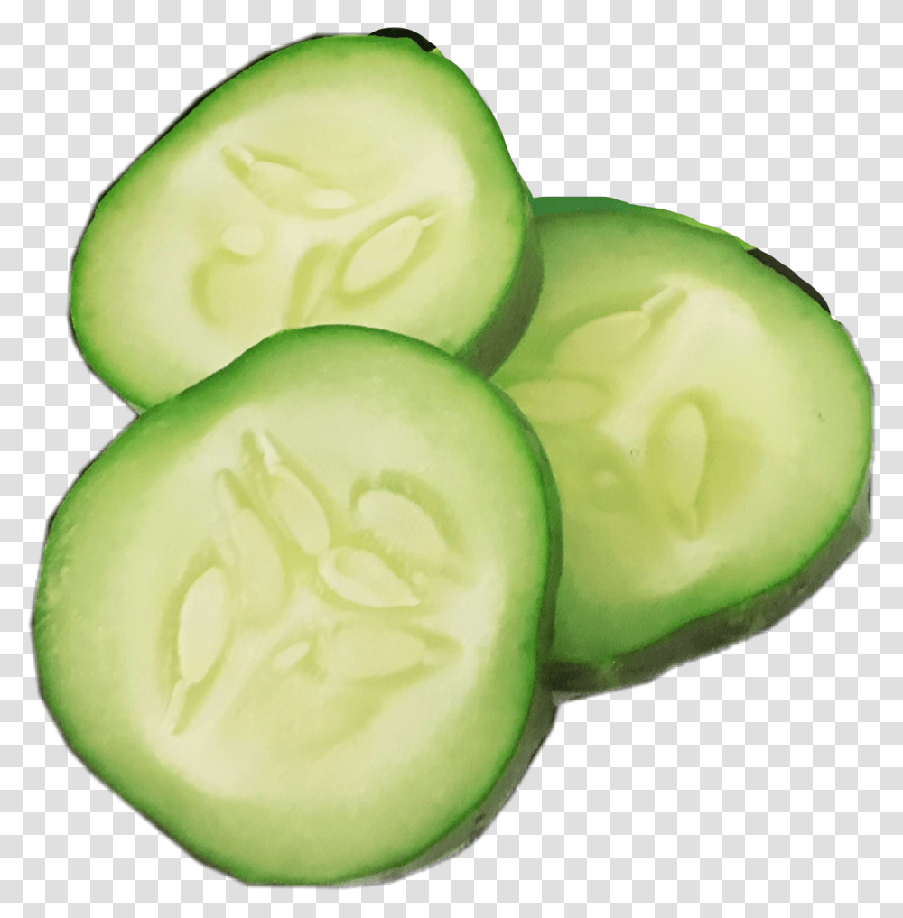 Popular And Trending Pickles Stickers, Plant, Cucumber, Vegetable, Food Transparent Png