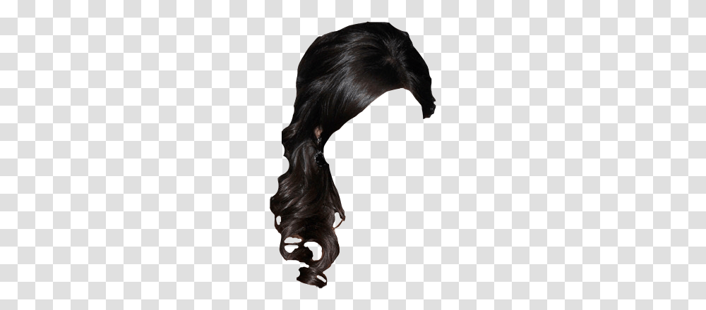 Popular And Trending Ponytail Stickers, Hair, Black Hair, Wig, Person Transparent Png