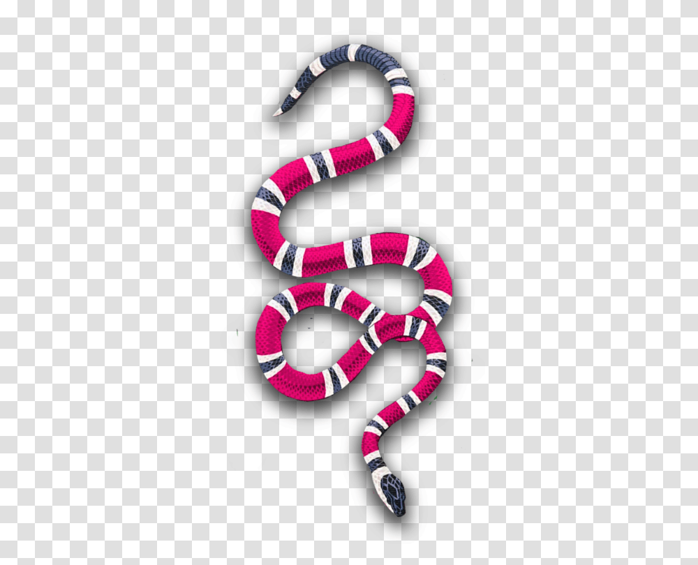Popular And Trending Snake Stickers, Animal, King Snake, Reptile, Sea Life Transparent Png