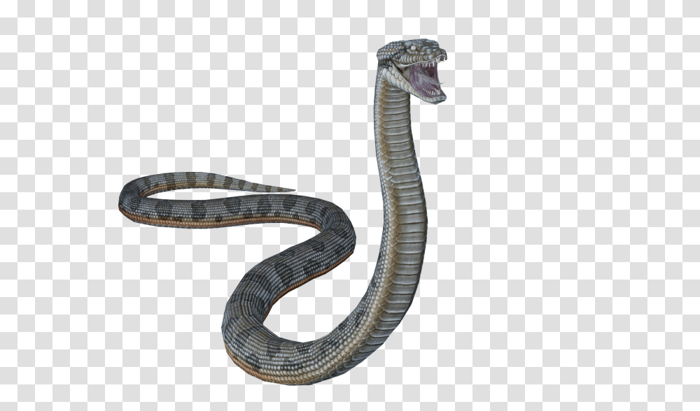Popular And Trending Snake Stickers, Reptile, Animal, Cobra Transparent Png