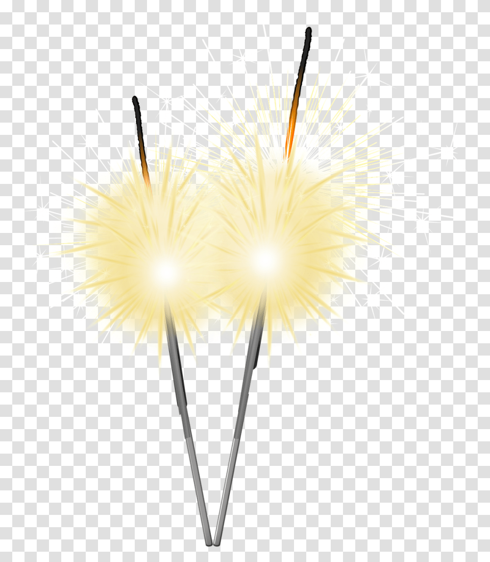 Popular And Trending Sparklers Stickers Fireworks, Plant, Flower, Blossom, Dandelion Transparent Png