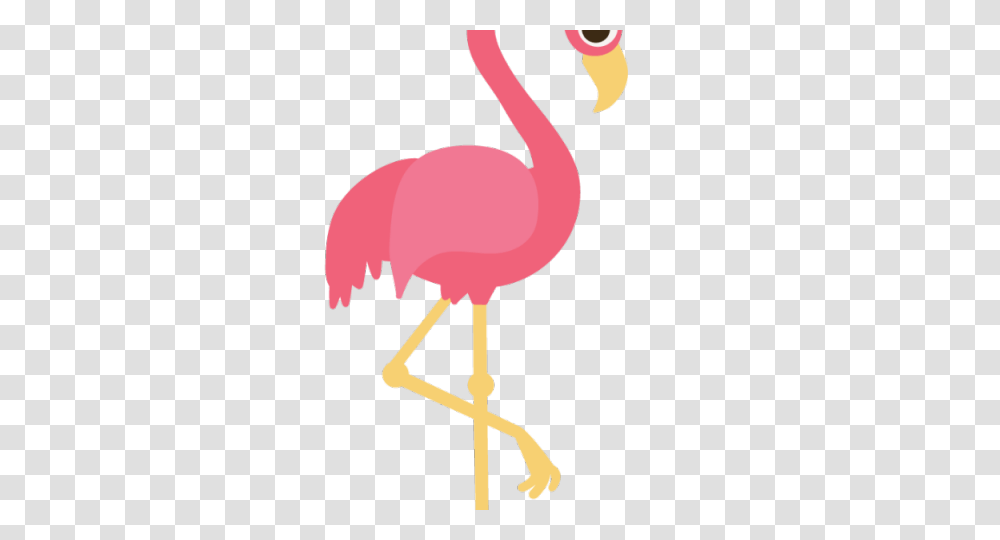 Popular Cliparts, Animal, Bird, Flamingo, Beak Transparent Png