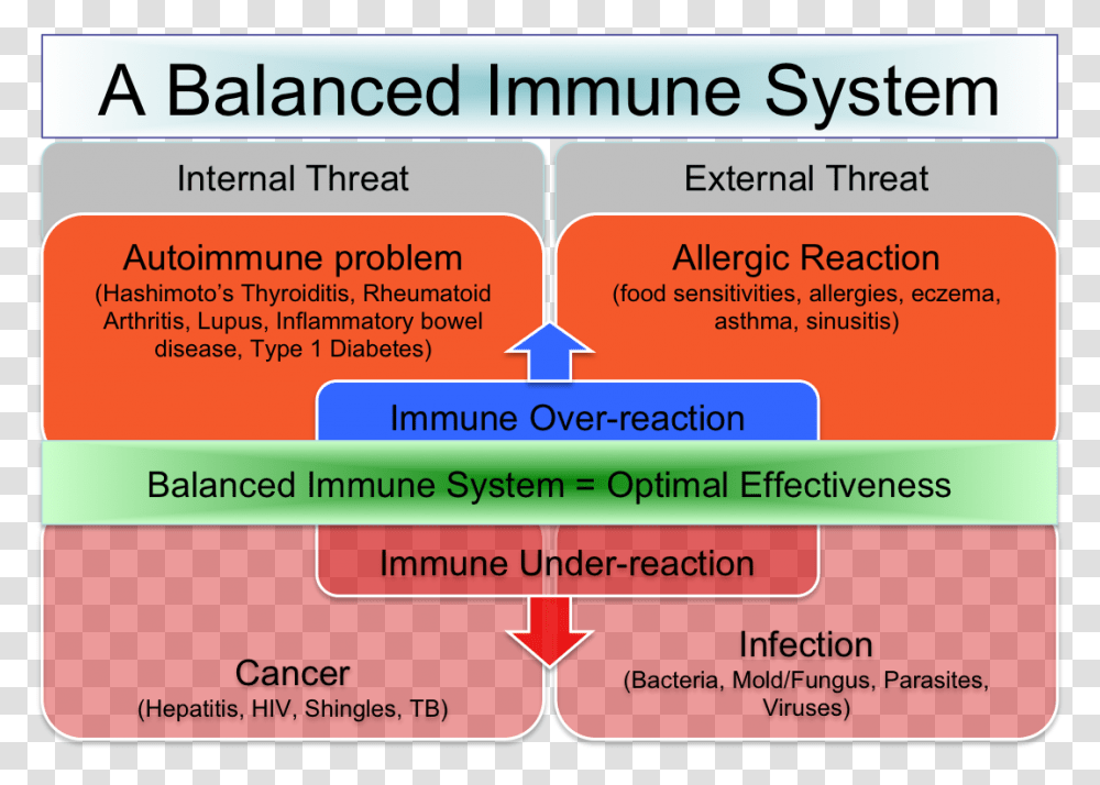 Popular Scenar Protocols Immune Response Balance, Plot, Diagram, Outdoors Transparent Png
