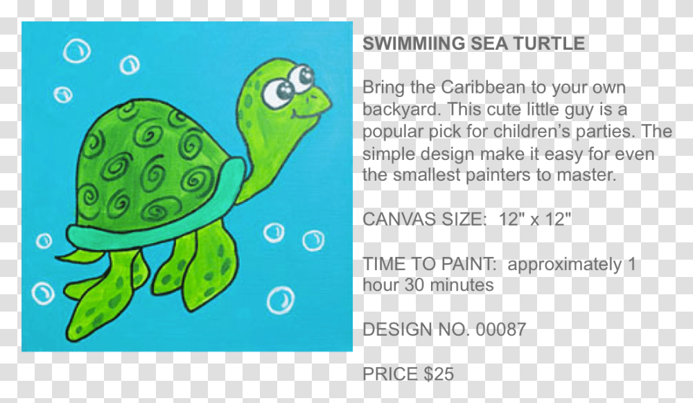 Popup Paint Studio Pond Turtle, Tortoise, Reptile, Sea Life, Animal Transparent Png