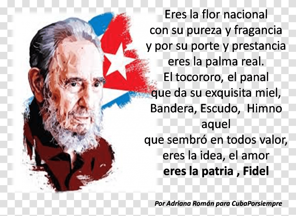 Por Adriana Romn Fidel Castro Wallpaper Hd, Head, Face, Person Transparent Png