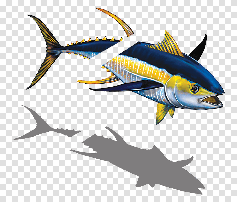 Porc Tn43 Sh Tuna With Split Copy Tuna, Fish, Animal, Sea Life, Bonito Transparent Png