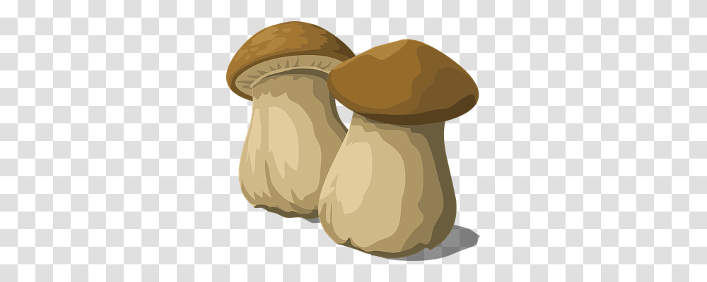 Porcini Nature, Plant, Mushroom, Fungus Transparent Png