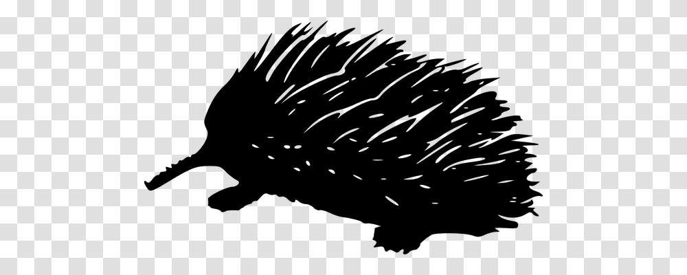 Porcupine Nature, Gray, World Of Warcraft Transparent Png