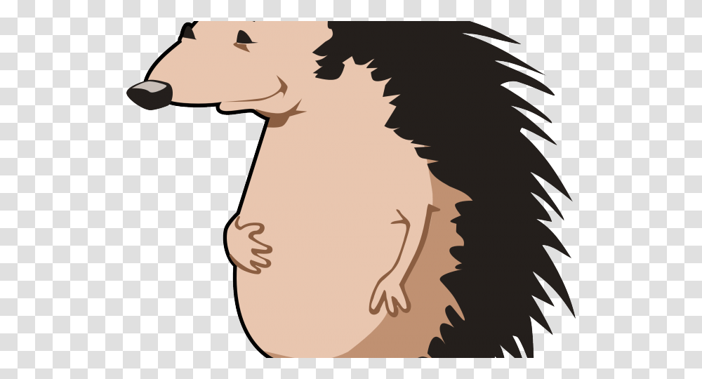 Porcupine Clipart Free Clip Art Stock Illustrations, Mammal, Animal, Person, Human Transparent Png