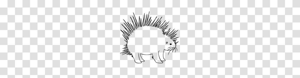 Porcupine Icons Noun Project, Gray, World Of Warcraft Transparent Png