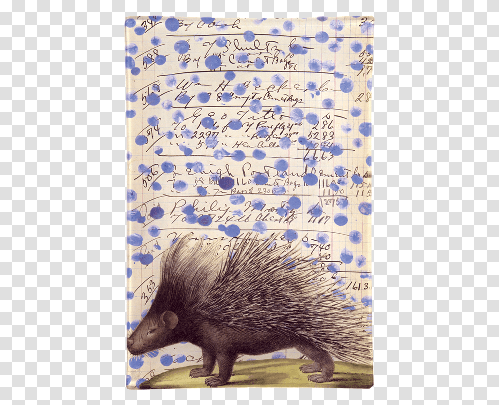 Porcupine, Rug, Handwriting, Page Transparent Png