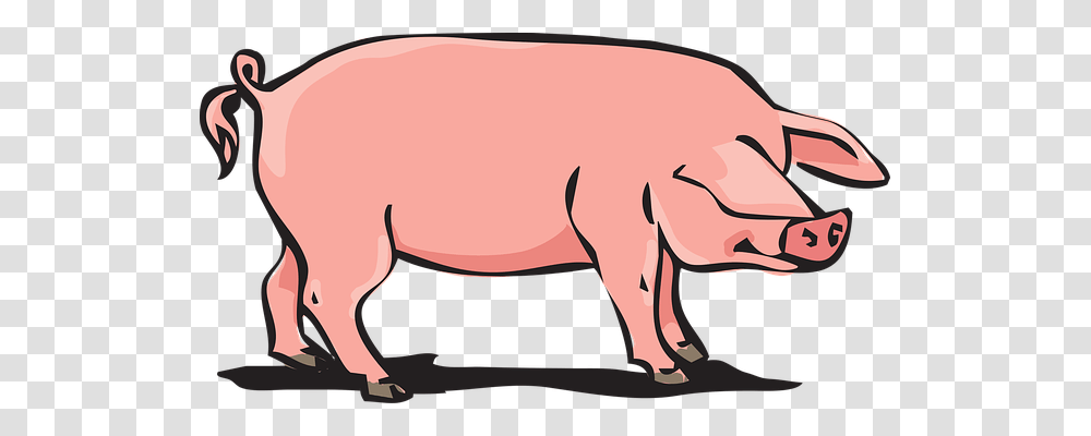 Pork Animals, Mammal, Pig, Wildlife Transparent Png