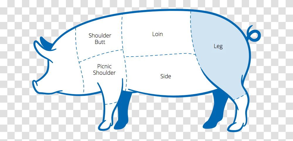 Pork Butt, Plot, Outdoors, Nature, Diagram Transparent Png