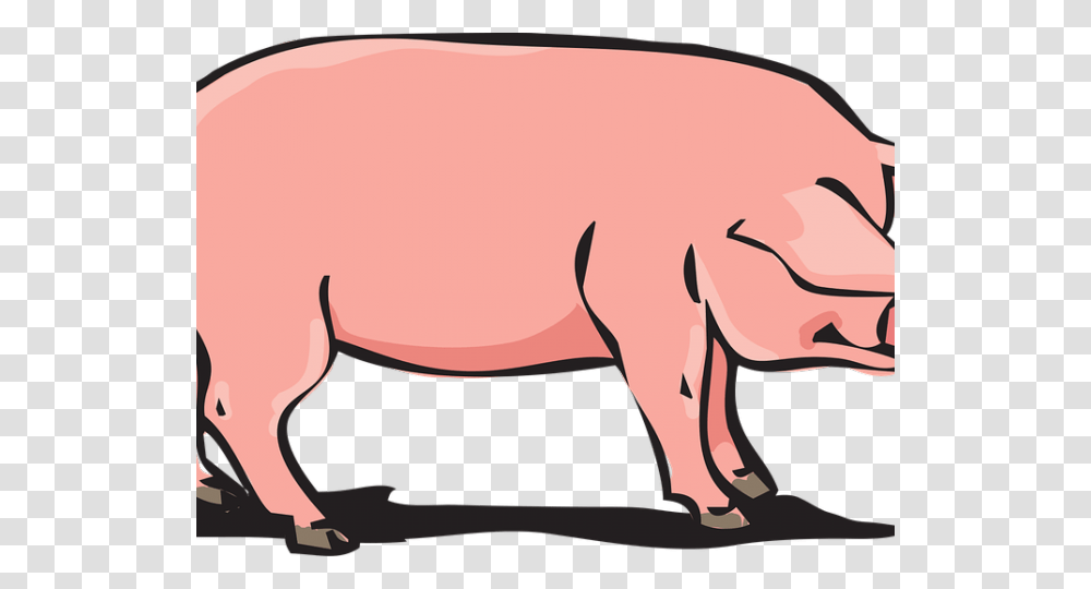 Pork Clipart, Mammal, Animal, Pig, Wildlife Transparent Png