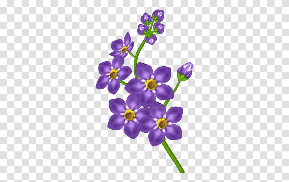 Porple Flower Gallery Yopriceville Purple Flower Clipart Free, Plant, Anemone, Dahlia, Petal Transparent Png