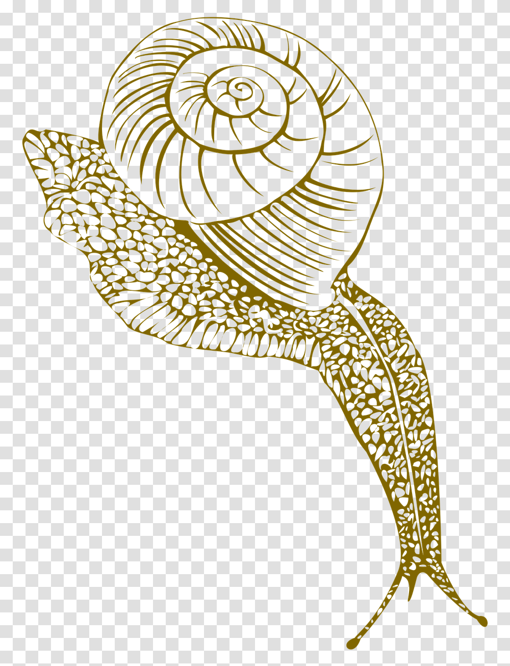Portable Network Graphics, Animal, Spiral, Reptile Transparent Png