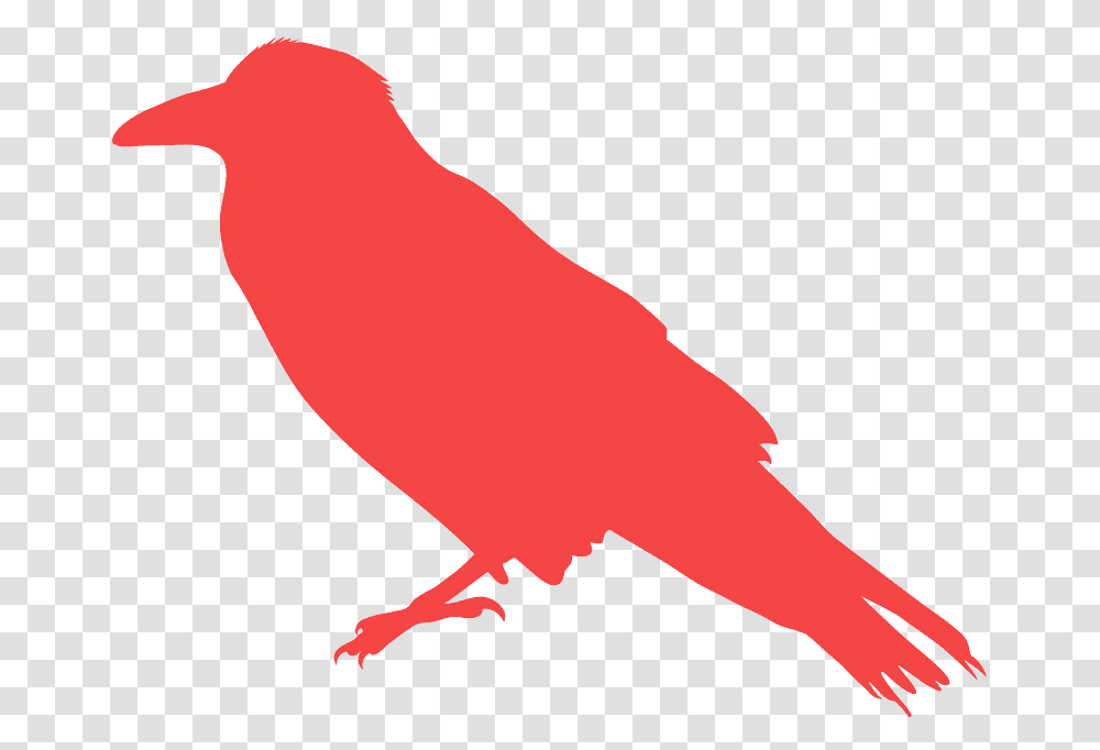 Portable Network Graphics, Bird, Animal, Canary, Finch Transparent Png