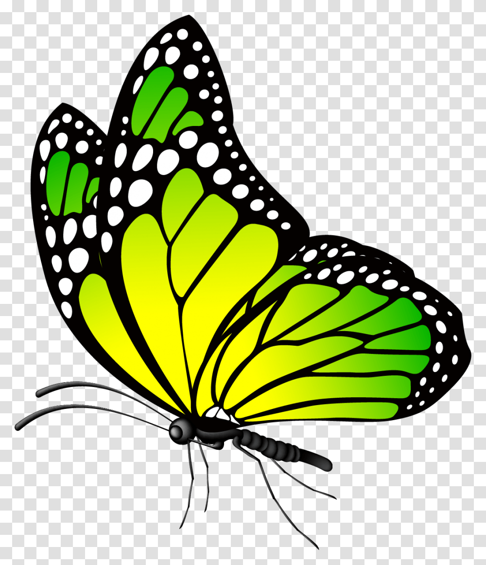 Portable Network Graphics, Butterfly, Insect, Invertebrate, Animal Transparent Png