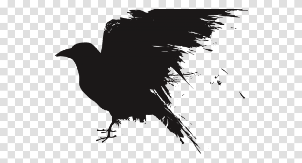 Portable Network Graphics Clip Art Common Raven Transparency Raven Art Background, Silhouette, Animal, Bird, Dodo Transparent Png