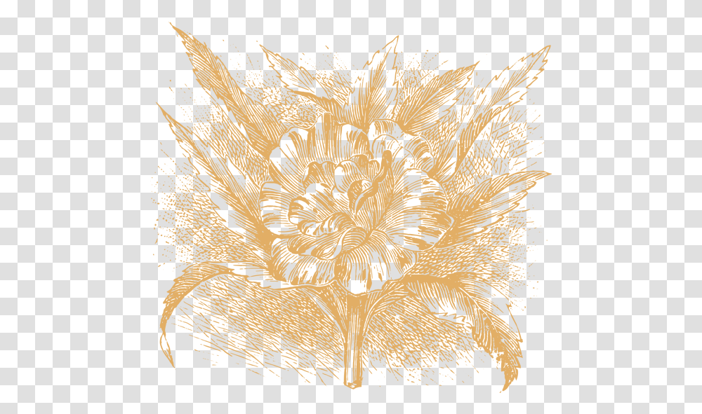 Portable Network Graphics, Ornament, Pattern, Nature, Outdoors Transparent Png