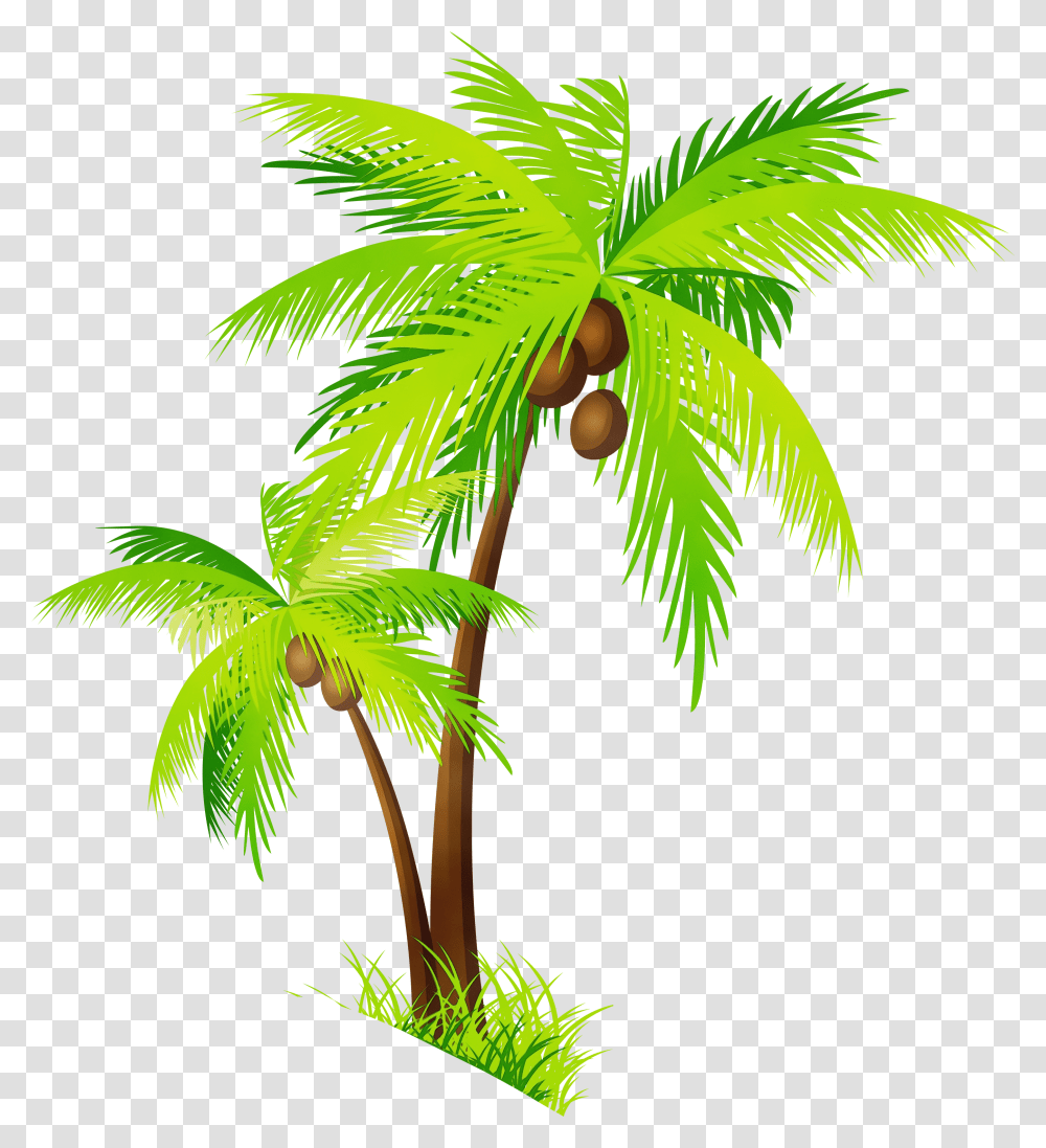 Portable Network Graphics Palm Trees Coconut Tree Clipart Transparent Png