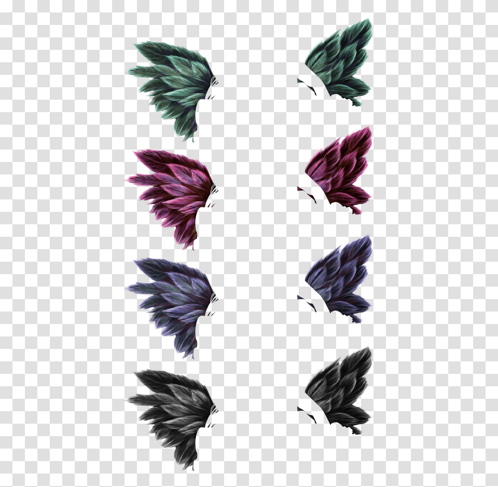 Portable Network Graphics Pigeons And Doves, Plant, Flower, Pattern Transparent Png